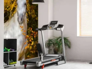 Sale Wit Paard in de Herfst fotobehang Bloemen