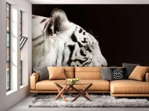 Fashion Witte tijger op zwarte achtergrond fotobehang Dieren