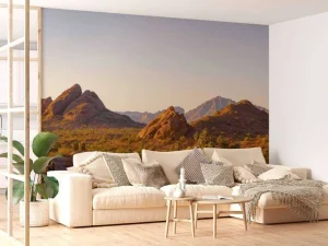 Online Woestijnlandschap met cactussen fotobehang Bloemen