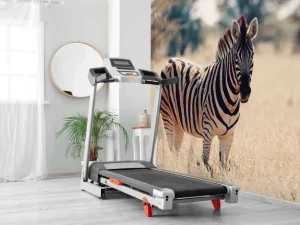 Outlet Zebra in het wild fotobehang Dieren
