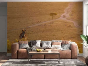 New Zebra maakt een wandeling bij zonsondergang fotobehang Dieren
