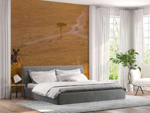 New Zebra maakt een wandeling bij zonsondergang fotobehang Dieren
