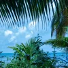 Discount Zee vanuit de jungle fotobehang Bloemen