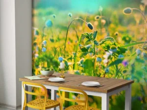 Hot Zomer in een weiland fotobehang Bloemen