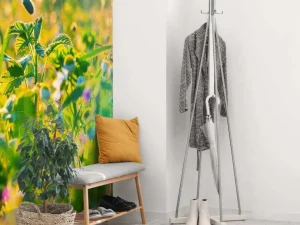 Hot Zomer in een weiland fotobehang Bloemen