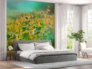 Hot Zomer in een weiland fotobehang Bloemen