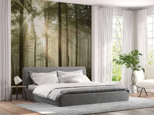 Fashion Zonlicht achter Bomen in Bos fotobehang Bloemen