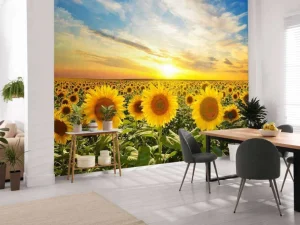 Hot Zonnebloemen bij zonsopkomst fotobehang Bloemen