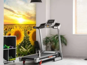 Hot Zonnebloemen bij zonsopkomst fotobehang Bloemen