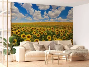 Sale Zonnebloemveld onder een heldere lucht fotobehang Bloemen