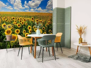 Sale Zonnebloemveld onder een heldere lucht fotobehang Bloemen