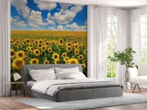 Sale Zonnebloemveld onder een heldere lucht fotobehang Bloemen