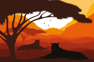 Online Zonsondergang in Afrika fotobehang Kinderkamer | Hobbykamer