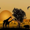 New Zonsondergang in een Afrikaans veld fotobehang Dieren