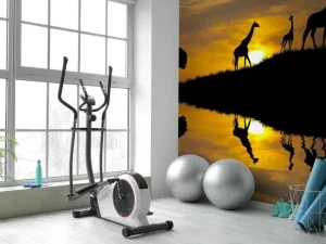 Outlet Zonsondergang in een tropisch gebied fotobehang Dieren