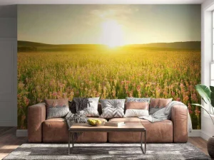 Fashion Zonsopkomst bij een bloemenveld fotobehang Bloemen