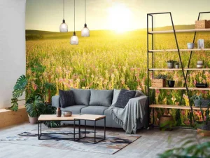 Fashion Zonsopkomst bij een bloemenveld fotobehang Bloemen