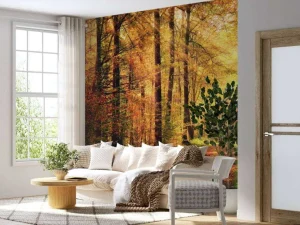 Sale Zonsopkomst in het bos fotobehang Bloemen