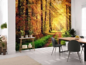 Sale Zonsopkomst in het bos fotobehang Bloemen