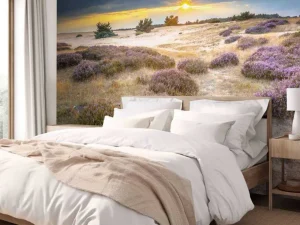 Best Zonsopkomst op de Veluwe fotobehang Bloemen