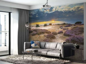 Best Zonsopkomst op de Veluwe fotobehang Bloemen