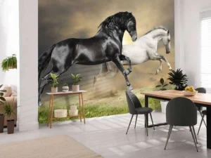 Online Zwart & Wit Paard op Gras fotobehang Dieren
